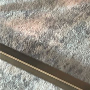 Meet your Posher, Donovan